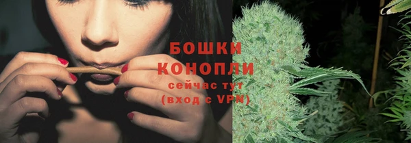каннабис Аркадак