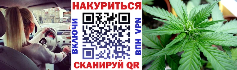 Конопля сатива Нефтегорск